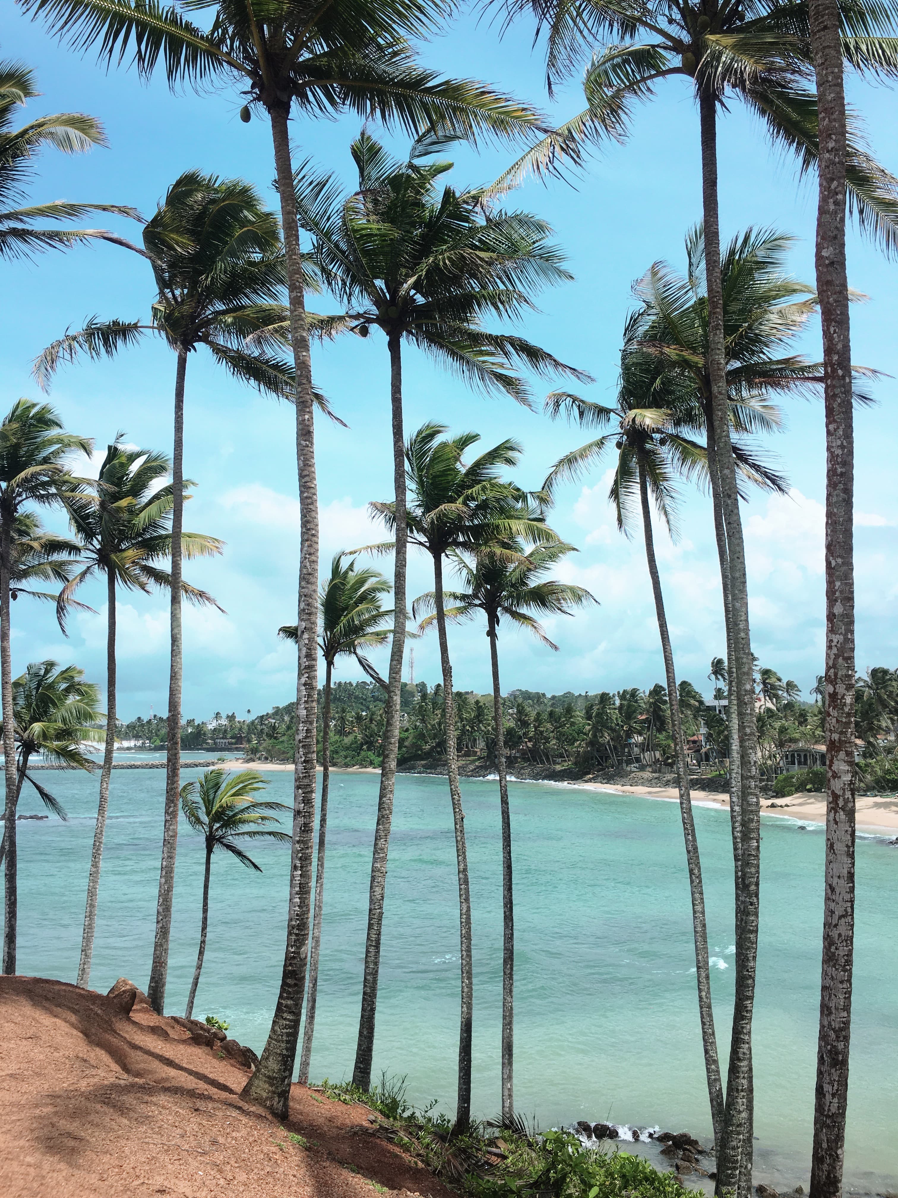 Mirissa Coconut Tree Hill and coastal sunset — Sri Lanka